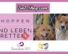 2in1-shop.com - Shoppen & Leben retten