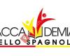 Accademia dello Spagnolo