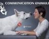 AG Communication Animale