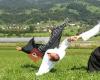 Aikido-Sportschule Gesai Brunnen