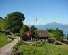 Alpwirtschaft Ruodisegg - Seebodenalp, Küssnacht am Rigi