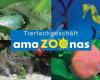 Amazoonas Tierfachgeschäft