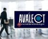 Avalect HR-Executive Consulting