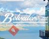 Belvedere Management Ltd.