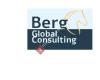 Berg Global Consulting