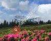 Bergbahnen Disentis