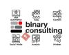 Binary Consulting