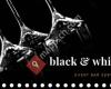 Black&White Event Bar Service