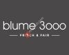 Blume 3000 AG | Rail City Bern