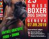 Boxer Club Genève
