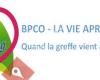 BPCO Consulting