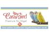 CaraBird GmbH