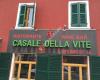 Casale della Vite