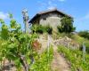 Cave Corbassière