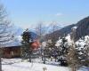 Chalet aux Mosses - CHF 865'000.-
