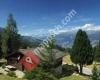 Chalet Firn
