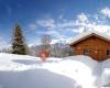 Chalet Galenblick