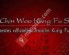 Chin Woo Kung Fu Schule Uster
