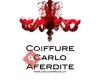 Coiffure Carlo Aferdite
