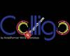 Colligo GmbH