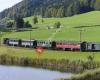 Dampfbahn Verein Zürcher Oberland DVZO