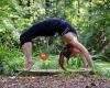 Danielle Kunz Yoga / Yoga For You