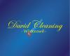 DavidCleaning