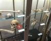 Department of Physical Anthropology