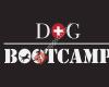 DOG Bootcamp Switzerland
