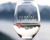 Domaine Le Luissalet