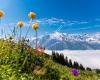 Engelberg Titlis - official page