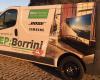 EP:Borrini