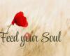 Feed-your-Soul.ch