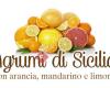 Felice Bio, Agrumes BIO de Sicile