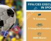 FIFA/CIES International University Network