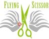 Flying Scissor