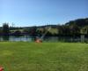 Freibad an der Aare