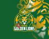 Futsal Golden Lions