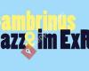 gambrinus jazz plus