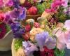 Gartenlaube Flowers & Trends