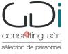 GDI-Consulting Sàrl