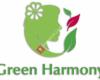 Green Harmony La Terza Energia -Fiamme Gemelle-