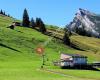 Grimmialpbergbahnen Diemtigtal AG