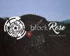 Gustavo Amintas - Black Rose