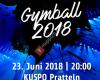 Gymball Muttenz