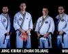 Hapkido Jin Jung Kwan Suisse Leman Dojang