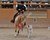 Horse and Dog Trail in der Schweiz