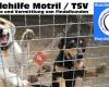 Hundehilfe Motril