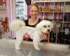 Hundesalon Wow