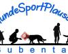 Hundesportplausch Bubental